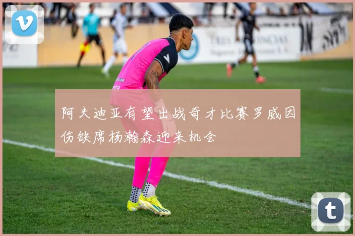 阿夫迪亚有望出战奇才比赛罗威因伤缺席杨瀚森迎来机会