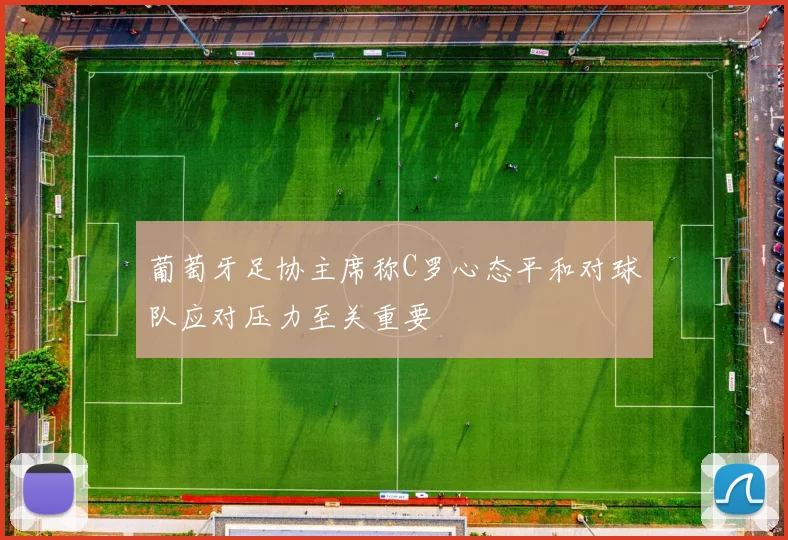 葡萄牙足协主席称C罗心态平和对球队应对压力至关重要
