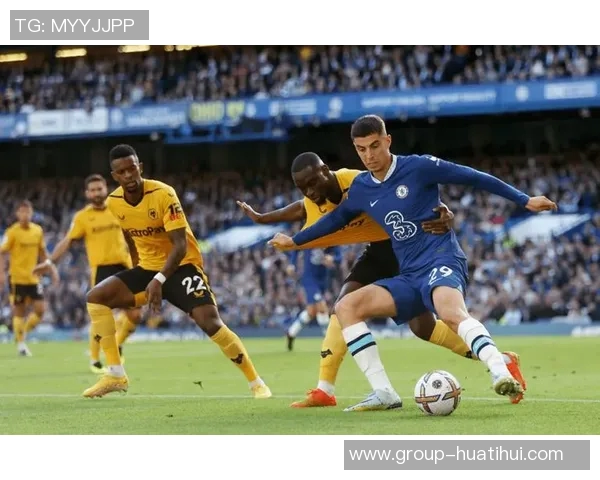 切尔西对阵狼队首发阵容公布恩佐和加纳乔领衔出战德拉普佩德罗同场竞技